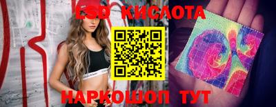 гидропоника Можайск