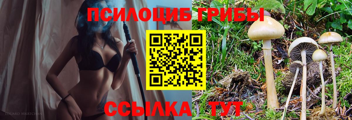 Галлюциногенные грибы Cubensis Ялта
