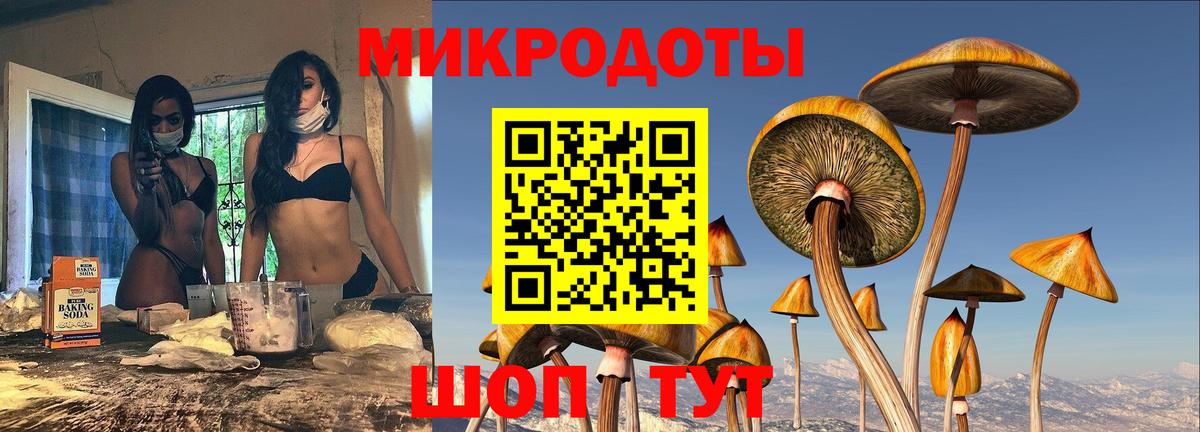 Галлюциногенные грибы MAGIC MUSHROOMS  где найти   Вход с VPN  Ялта  Галлюциногенные грибы GOLDEN TEACHER 